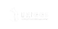 logo#cliente_briggs